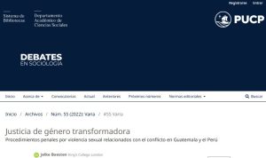 Justicia de género transformadora. Procedimientos penales por violencia sexual relacionados con el conflicto en Guatemala y el Perú - Jelke Boesten